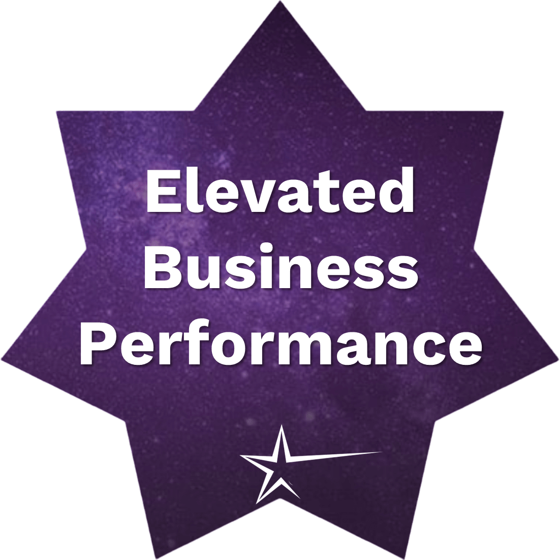 STAR Coach Leadership - Elevated Business Performance