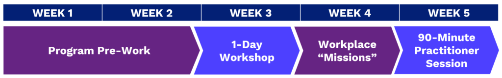 STAR® Coach Leadership - STAR® Coach Practitioner Certification Program Timeline
