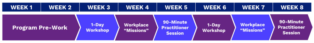 STAR® Coach Leadership - STAR® Manager Practitioner Certification Program Timeline