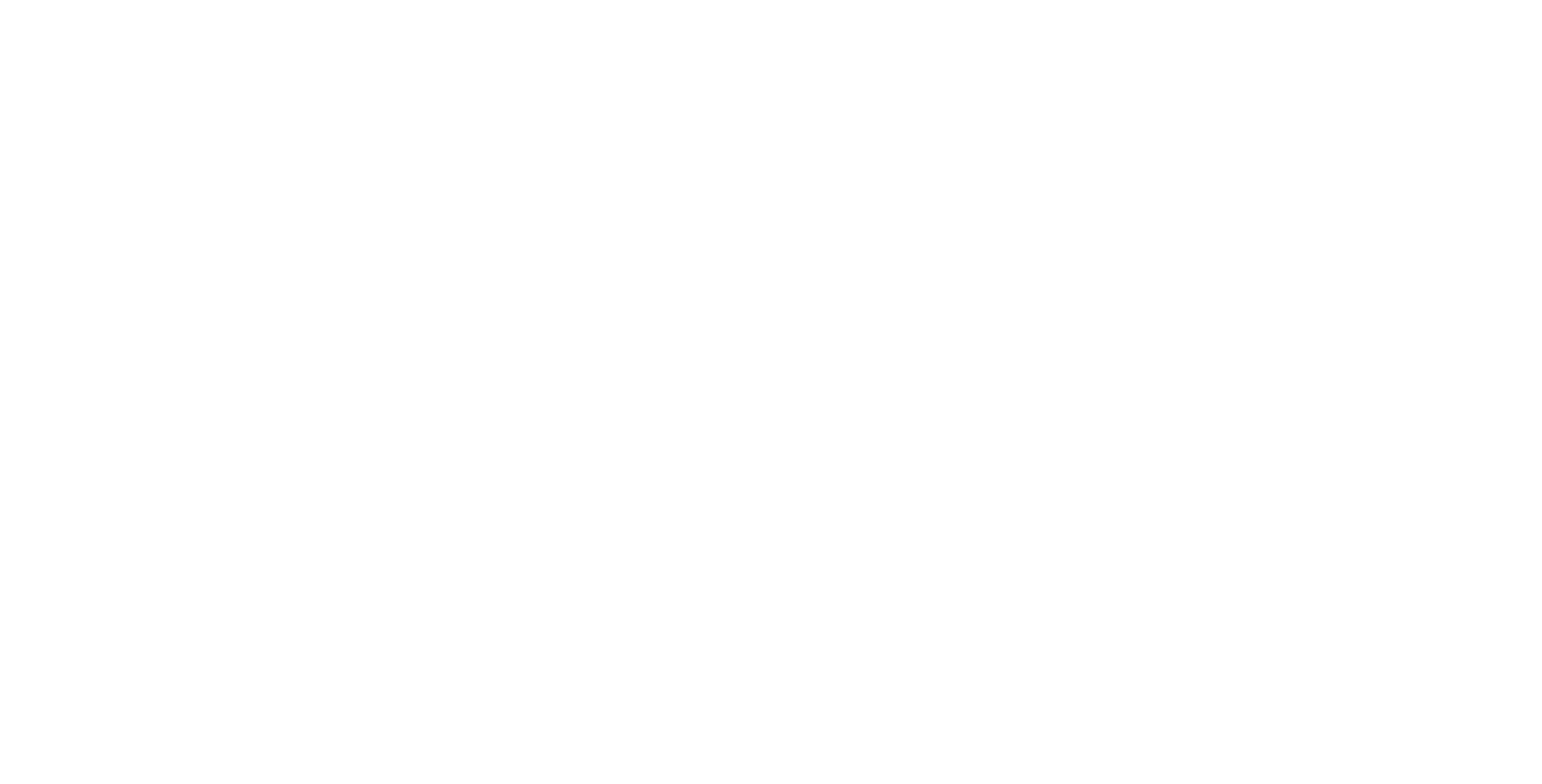 STAR Coach Leadership Logo White